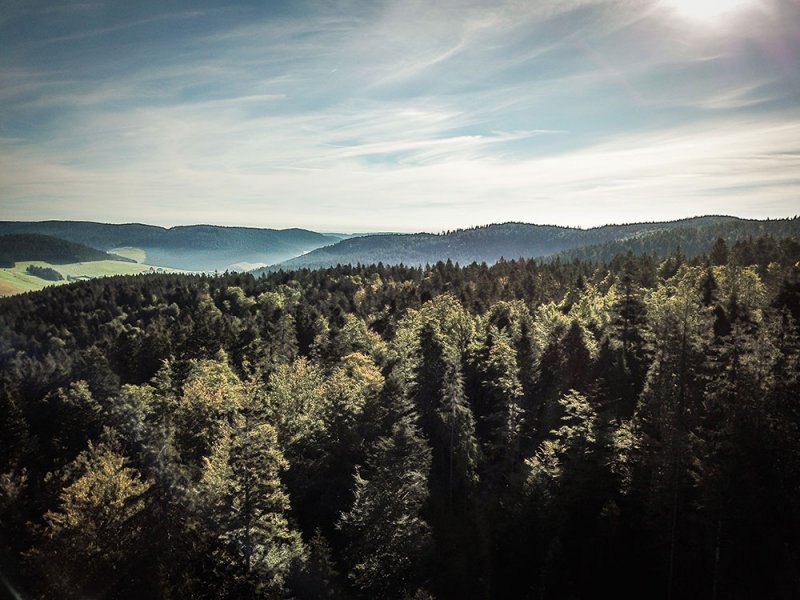 schwarzwald-bike-marathon-impressionen-2018-1.jpg