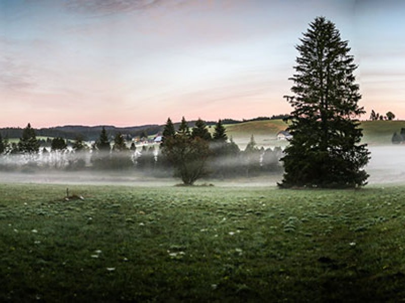 schwarzwald-bike-marathon-impressionen-2018-12.jpg
