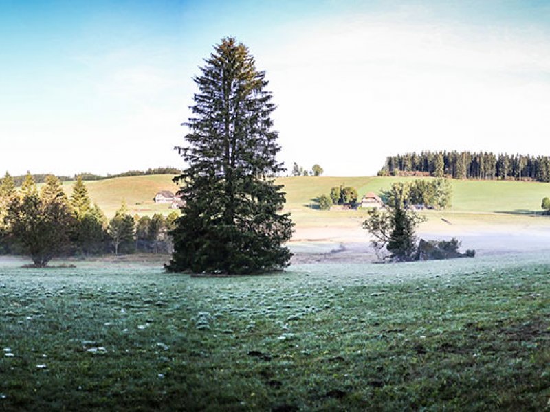 schwarzwald-bike-marathon-impressionen-2018-29.jpg