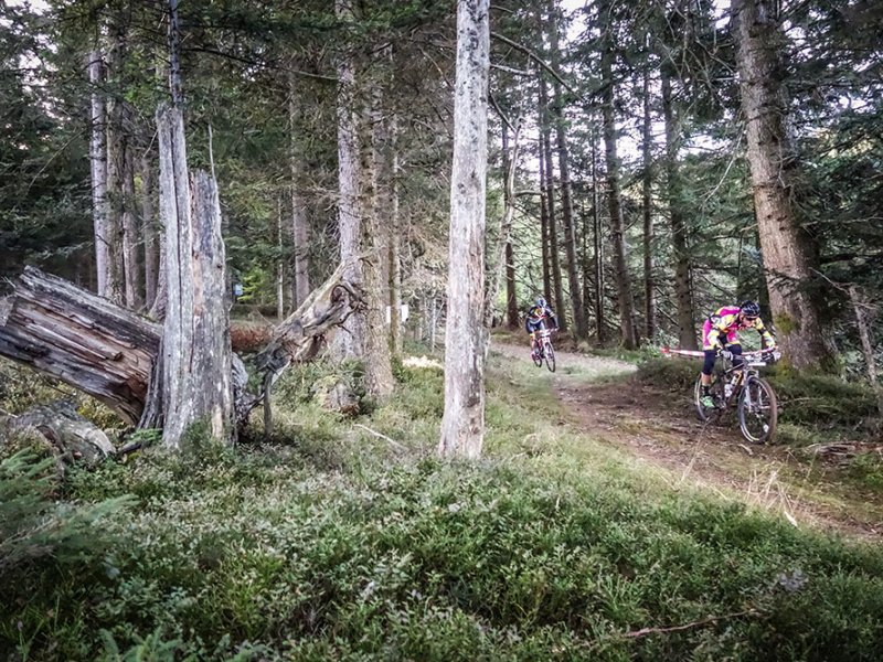 schwarzwald-bike-marathon-impressionen-2018-3.jpg