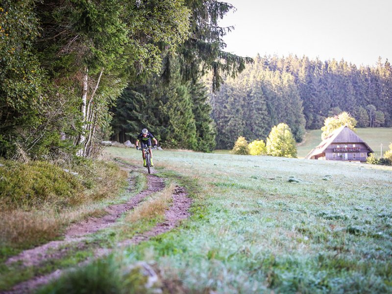 schwarzwald-bike-marathon-impressionen-2018-9.jpg